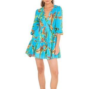 Banana Sky Long-Sleeve Mini Dress